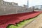 The Tower of London Moat filled with Ceramic Poppies , an art installation named Blood Swept Lands and Seas of Red.