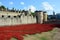 Tower of London Poppies