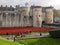 Tower of London Poppies and Volunteers