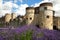 Tower of London with purple flowers