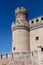 Tower. Manzanares Castle