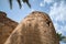 Tower of old Aqaba Fortress, Mamluk Castle