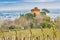 Tower overlooking leafless vineyards in rows