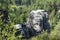 Tower of Prachov Rocks in forest