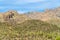 Towering cliffside mountains in the hills of sonora desert in arizona midday afternoon with white and blue sky