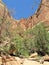 Towering Monoliths in Zion National Park