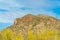 Towering mountain in sonora desert in tuscon arizona in sabino national park with rows cactuses in late afternoon sun