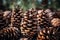 Towering Pine cone fir tree. Generate Ai