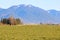 Towering Rolling Hills Overlook Grassland