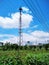 Towering towers of transmitter unite with this nature