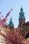 Towers of the Cathedral of Wawel.