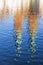 Towers of Catholic Church reflected in a river