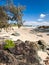 Town Beach, Port Macquarie