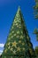 Town Christmas tree on sunny day in Australia