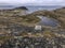 Town of Fogo and icebergs, Newfoundland