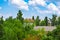 Town houses buried in verdure trees.