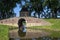 Town and water gate Boerenboom, Enkhuizen