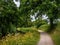 The towpath along the beautiful Grand Western Canal, Tiverton, Devon, UK.