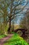 Towpath on Chesterfield canal in spring