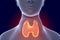 Toxic diffuse goiter, hyperthyroidism