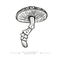 Toxic Fantasy Pslocybin Mushroom. Black and white drawing of a magical surreal hallucinogenic mushroom. Vector illustration