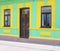 Toxic Green Brick Facade with Brown Wood Door