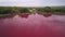 Toxic pink lake at nature, industrial zone with pollution, aerial shot