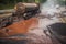 toxic sludge spilled from overturned tanker truck, polluting the roadside