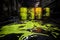 Toxic Waste Spill: Corroded Barrel Unleashes Vibrant Neon Green Liquid