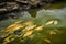 toxic waste spill in river, with dead fish and algae visible