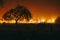 Toxteth Park Cemetery in the night, foggy night graveyard in Liverpool, UK