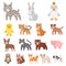 Toy animals cartoon icons in set collection for design. Bird, predator and herbivore vector symbol stock web