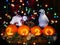 Toy bear and penguin on the background of multi-colored garland lights.