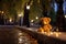 toy bear placed near a night park fountain, illuminated by lights