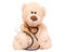 Toy bear stethoscope medical medicine