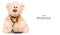 Toy bear stethoscope medical medicine pattern