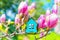 Toy Blue House Model and Blooming Pink Magnolia Flowers