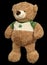 Toy brown bear