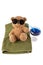 A toy brown bear enjoys a vacation in sunglasses,,