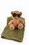 A toy brown bear enjoys a vacation in sunglasses,,