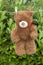 Toy brown teddy bear hanging on line