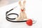 Toy bunny, stethoscope and heart on white wooden table.