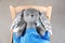 Toy bunny with thermometer lying in bed on background, above view. Children`s hospital