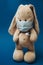 A toy bunny wears a protective medical mask with a thermometer under his paw