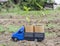 Toy car truck carrying seedling cups