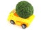 Toy car truck herb bergamot