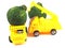 Toy car truck herb bergamot