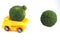 Toy car truck herb bergamot