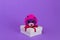 Toy cartoon mouse sits on a white gift box
