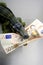 Toy cocodrile, aligator, with fifty euro banknote